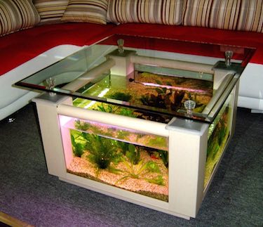 68 Gallon Square Table Aquarium