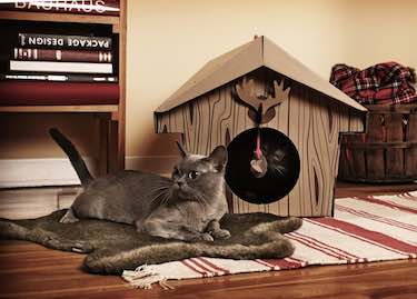 Loyal Luxe Canadian Cabin Cat Playhouse