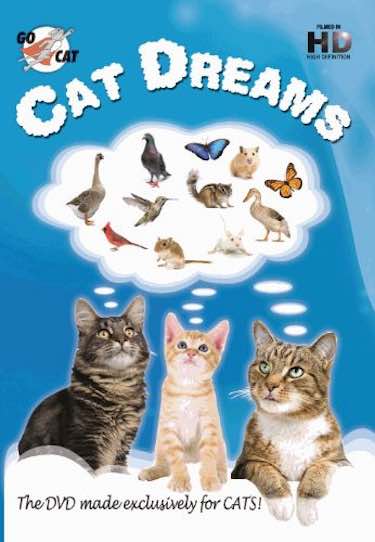 'Cat Dreams' DVD for Cats