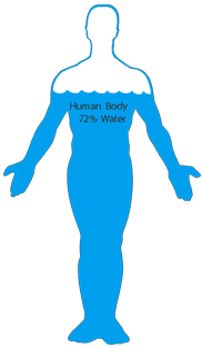 body water illustration
